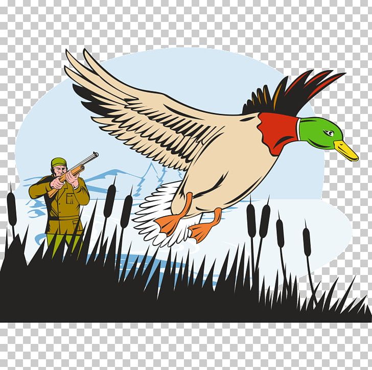 Duck Mallard Goose Hunting PNG, Clipart, Animals, Art, Beak, Bird, Duck Free PNG Download