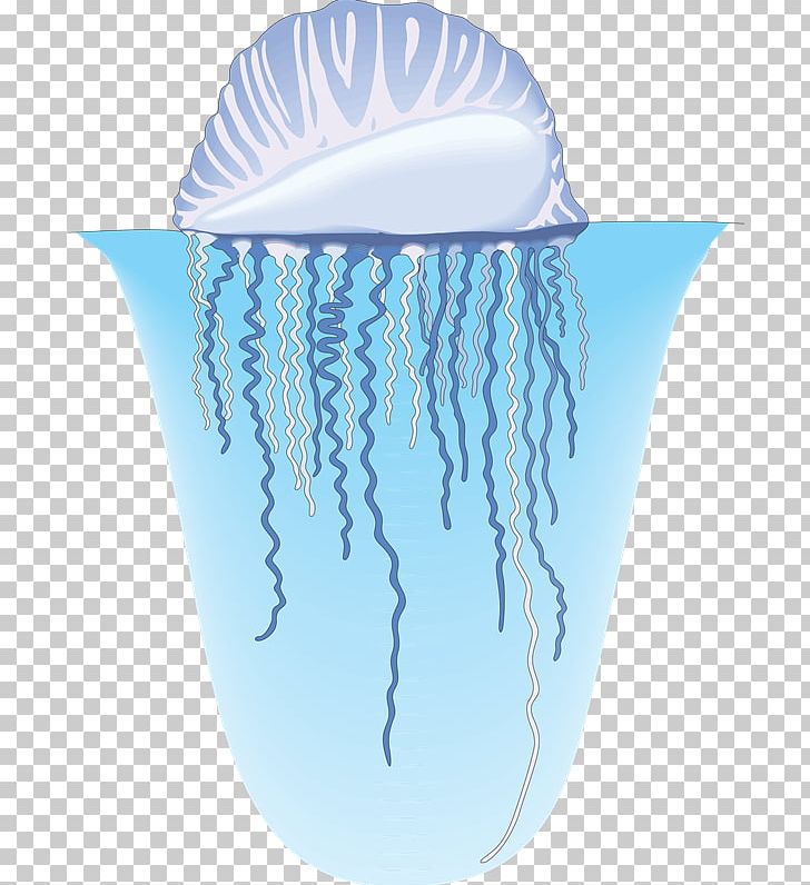 Jellyfish Nekton Clam Organism Sea PNG, Clipart, Clam, Jellyfish, Mol, Nekton, Organism Free PNG Download