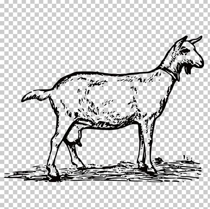 The Whole Goat Handbook: Recipes PNG, Clipart, Animal, Animals, Cattle Like Mammal, Cooking, Cow Goat Family Free PNG Download
