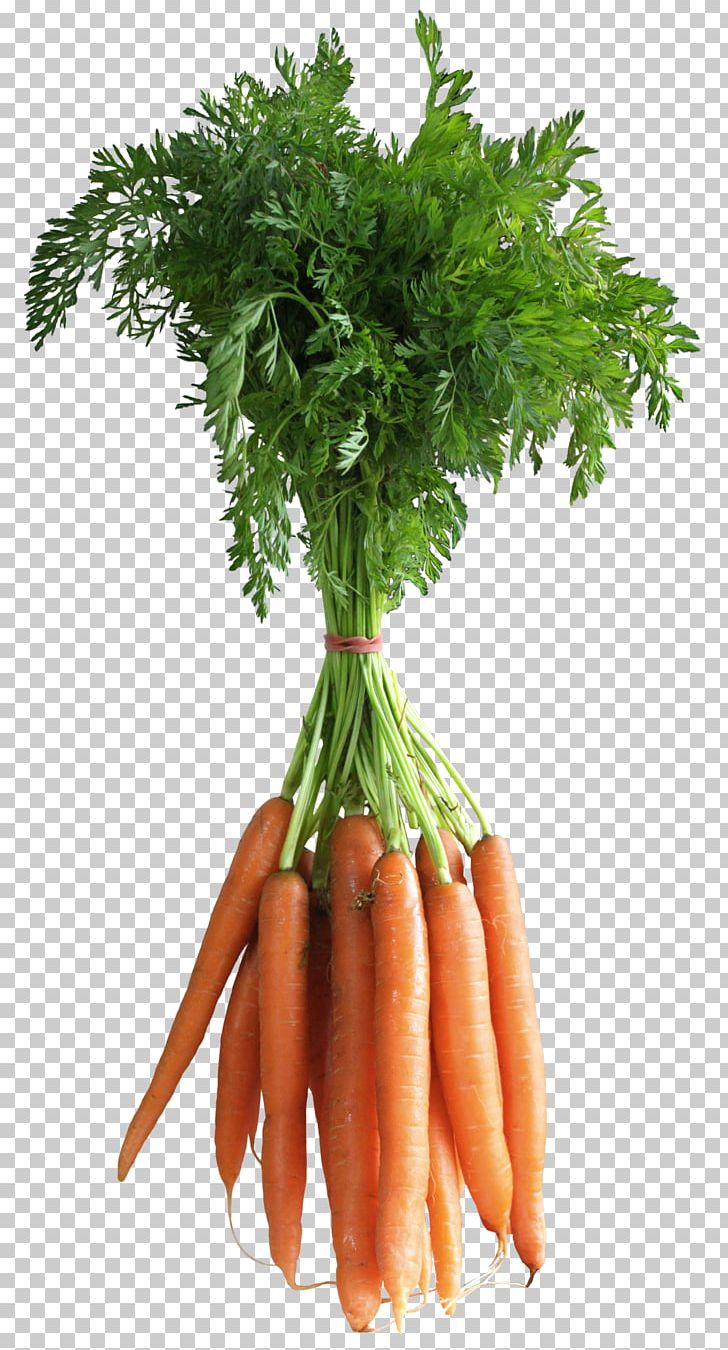 Carrot PNG, Clipart, Baby Carrot, Cabbage, Carrot Juice, Cauliflower, Computer Icons Free PNG Download