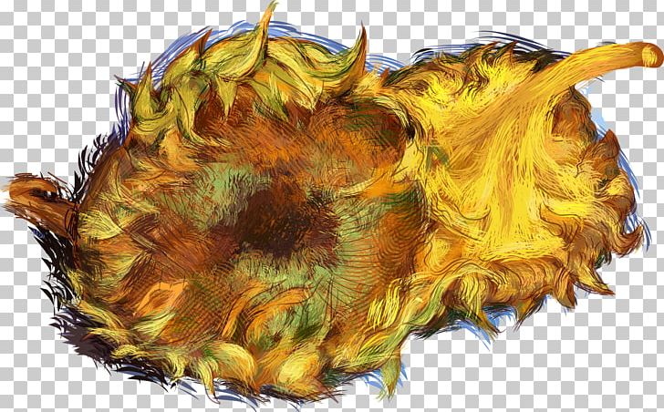 Sunflowers Common Sunflower Oil Painting PNG, Clipart, Feather, Flowers, Hand Painted, Handpainted Flowers, Organism Free PNG Download