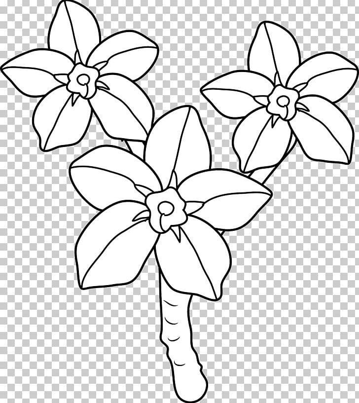 Coloring Book Scorpion Grasses Flower PNG, Clipart, Angle, Area, Black, Black And White, Blue Free PNG Download