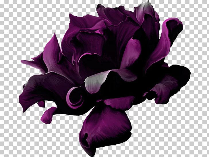 Purple Violet Flower PNG, Clipart, Art, Blue, Cari, Cut Flowers, Deco Free PNG Download