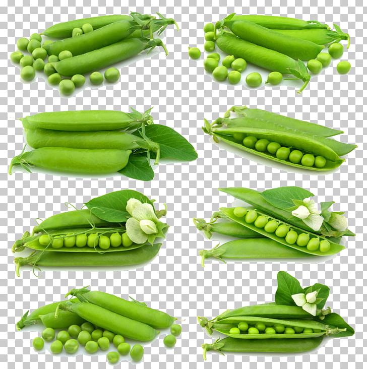 Snap Pea Snow Pea Vegetarian Cuisine Vegetable Food PNG, Clipart, Butterfly Pea, Butterfly Pea Flower, Depositphotos, Download, Euclidean Vector Free PNG Download