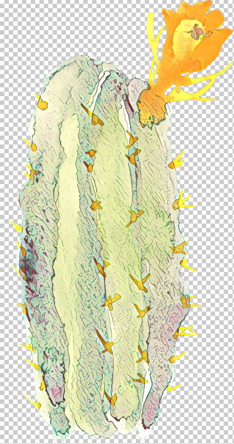 Cactus PNG, Clipart, Cactus, Plant, Yellow Free PNG Download