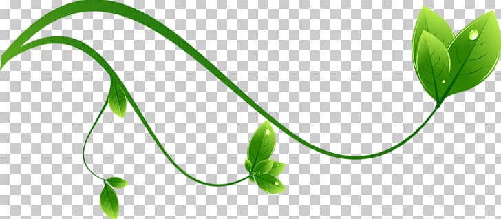 Green PNG, Clipart, Element, Flora, Flower, Grass, Grass Family Free PNG Download