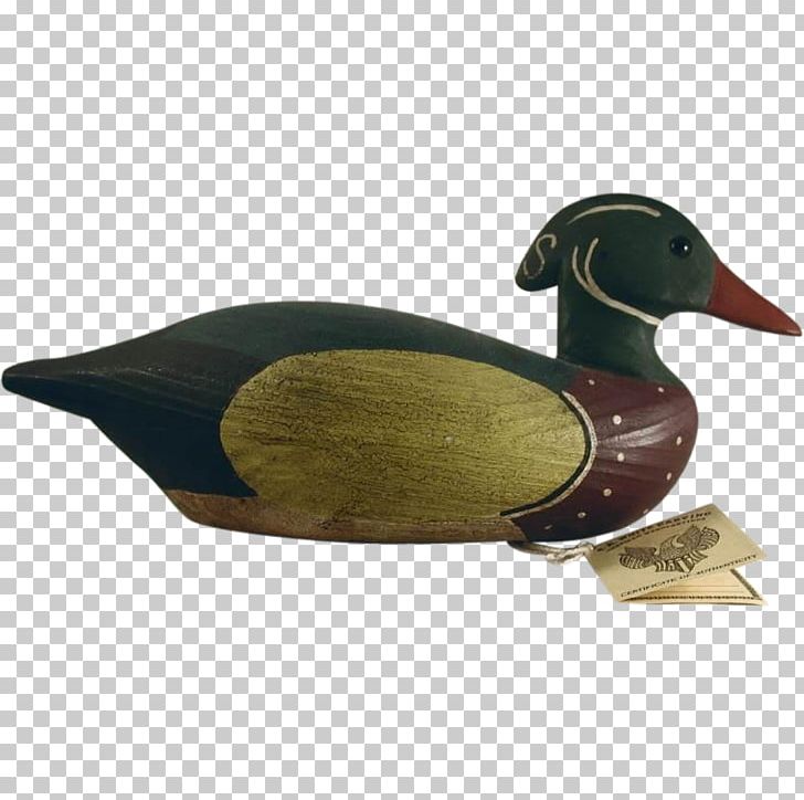 Mallard Duck Beak PNG, Clipart, Animals, Beak, Bird, Carve, Decorative Free PNG Download