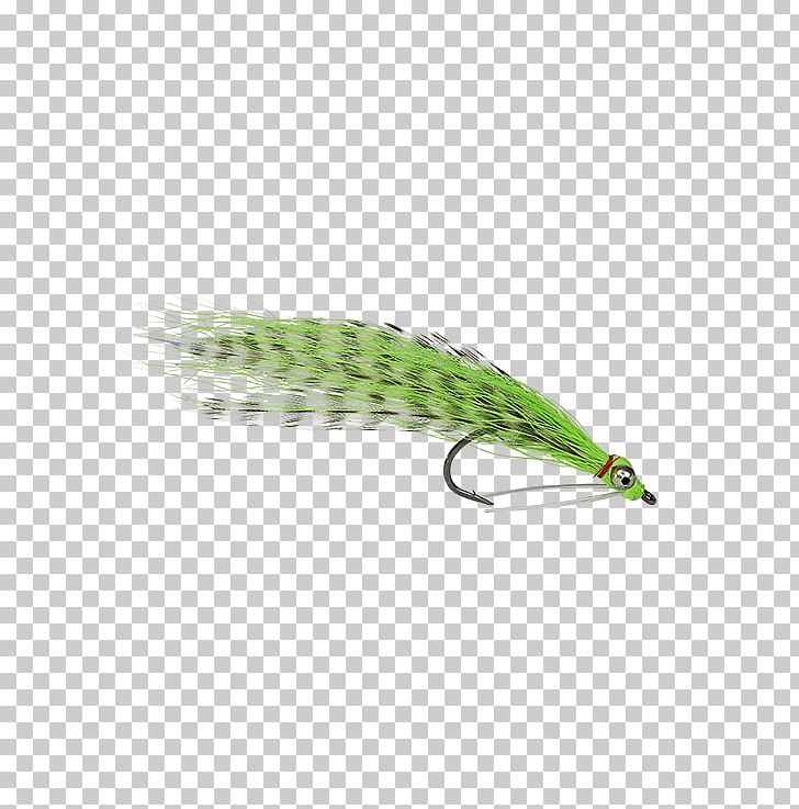 Spoon Lure Okeechobee Holly Flies Email Eye PNG, Clipart, Bait, Email, Eye, Fish, Fishing Bait Free PNG Download