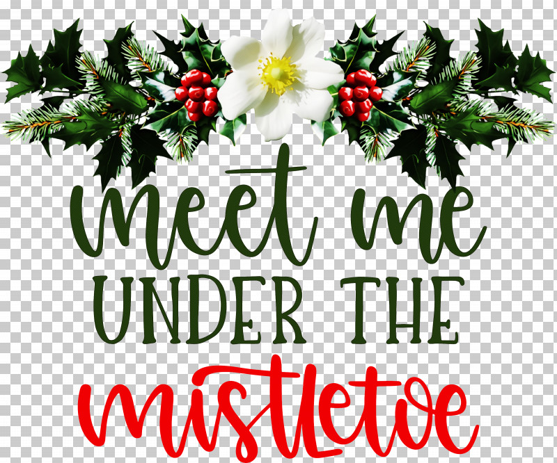 Meet Me Under The Mistletoe Mistletoe PNG, Clipart, Christmas Day, Christmas Ornament, Christmas Ornament M, Christmas Tree, Fir Free PNG Download