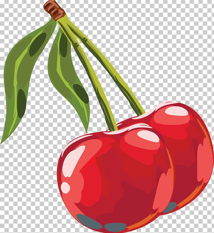 Cherry Red PNG, Clipart, Cherry, Colours, Decorative, Flowering Plant, Food Free PNG Download