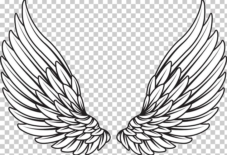 Drawing PNG, Clipart, Angel, Angel Wing, Art, Artwork, Beak Free PNG Download
