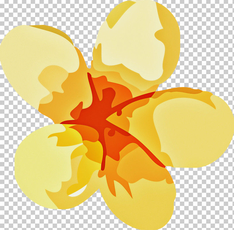 Insect Leaf Yellow Petal Commodity PNG, Clipart, Biology, Commodity, Fruit, Insect, Leaf Free PNG Download