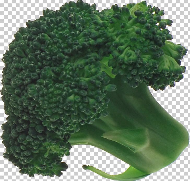 Broccoli Vegetable Graphics Software PNG, Clipart, Austral Pacific Energy Png Limited, Broccoli, Copying, Download, Food Free PNG Download