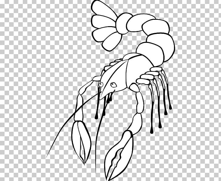Free Content Crayfish PNG, Clipart, Angle, Art, Black, Black And White, Branch Free PNG Download