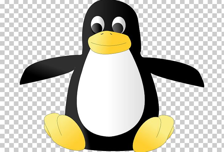 King Penguin PNG, Clipart, Beak, Bird, Download, Emperor Penguin, Flightless Bird Free PNG Download