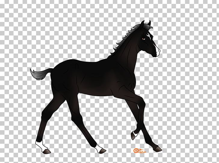 Mustang Pony Equestrian Stallion Foal PNG, Clipart, Animal Figure, Black And White, Bridle, Colt, Equestrian Free PNG Download