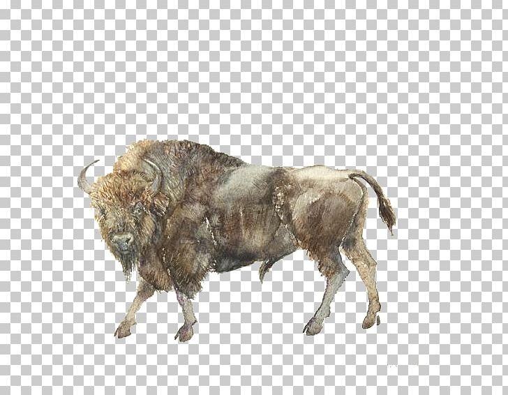 Water Buffalo Ox Gaur American Bison PNG, Clipart, American Bison, Aurochs, Bison, Bull, Cattle Free PNG Download