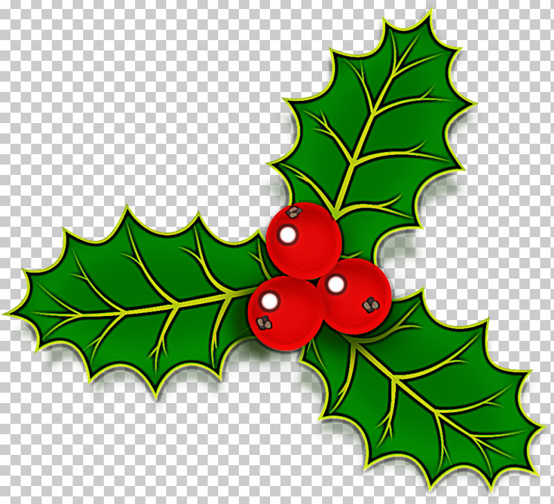 Holly PNG, Clipart, American Holly, Flower, Grape Leaves, Holly, Hollyleaf Cherry Free PNG Download