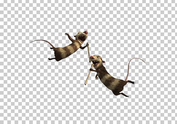 Insect Sticker Telegram Ice Age PNG, Clipart, Animals, Child, Computer Network, Dog Breed, Ice Age Free PNG Download