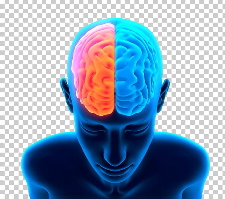 Human Brain PNG, Clipart, Alix, Brain, Brain Injury, Cognitive, Desktop Wallpaper Free PNG Download