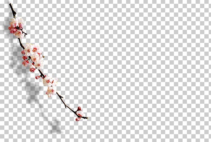 Plum Blossom Computer Software PNG, Clipart, Art, Blossom, Blue, Branch, Cherry Blossom Free PNG Download