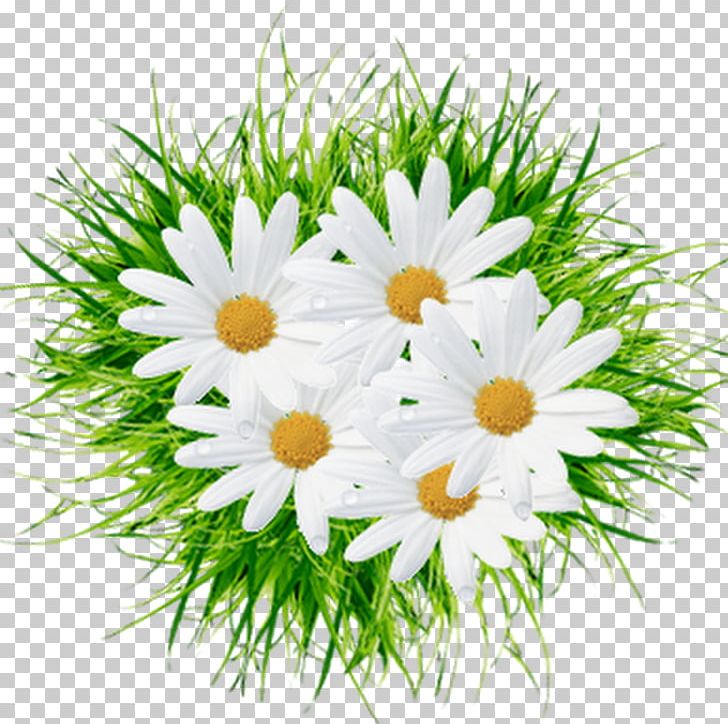 Serpukhov Пётр и Феврония Day Of Russian Family And Love Flower Painter PNG, Clipart, Annual Plant, Aster, Camomile, Chamaemelum Nobile, Daisy Family Free PNG Download