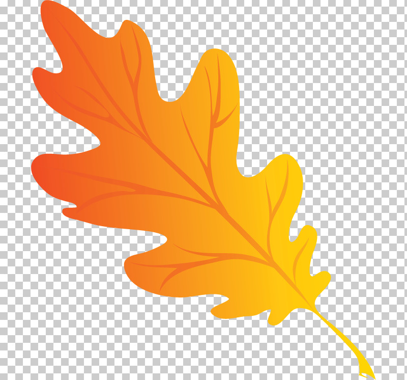 Maple Leaf PNG, Clipart, Branch, Eunpyeonggu, Flower, Flowerpot, Grasses Free PNG Download