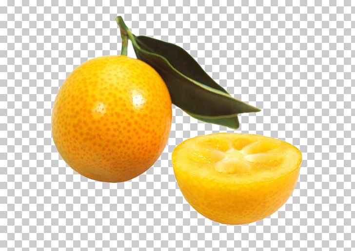 Clementine Tangerine Volkamer Lemon Kumquat PNG, Clipart, Bitter Orange, Citric Acid, Citrus, Decorative, Food Free PNG Download