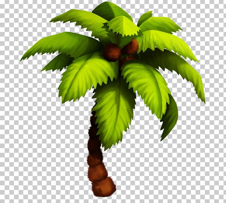 Coconut Drawing PNG, Clipart, Art, Coconut, Data Compression, Drawing, Flowerpot Free PNG Download