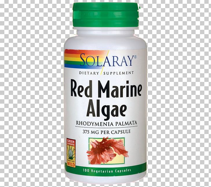 Dietary Supplement Red Algae Capsule Brown Algae PNG, Clipart, Algae, Bladder Wrack, Bluegreen Bacteria, Brown Algae, Capsule Free PNG Download