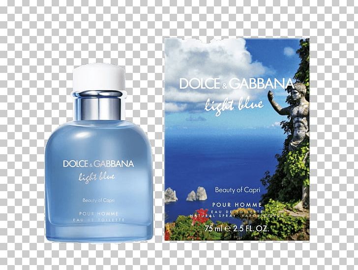 Dolce Gabbana Fragrances Light Blue Dolce & Gabbana Perfume Eau De Toilette PNG, Clipart, Aftershave, Cosmetics, Dolce, Dolce Gabbana, Dolce Gabbana Light Blue Free PNG Download