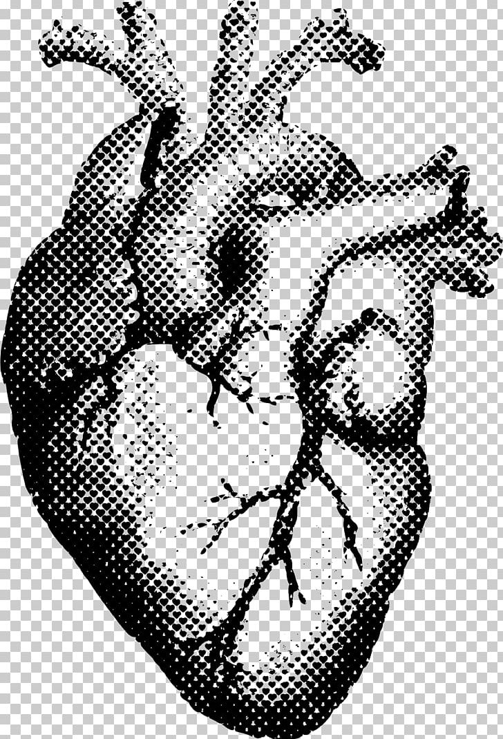 Heart Human Anatomy T-shirt Printing PNG, Clipart, Anatomy, Art, Black And White, Cardiac Muscle, Color Free PNG Download