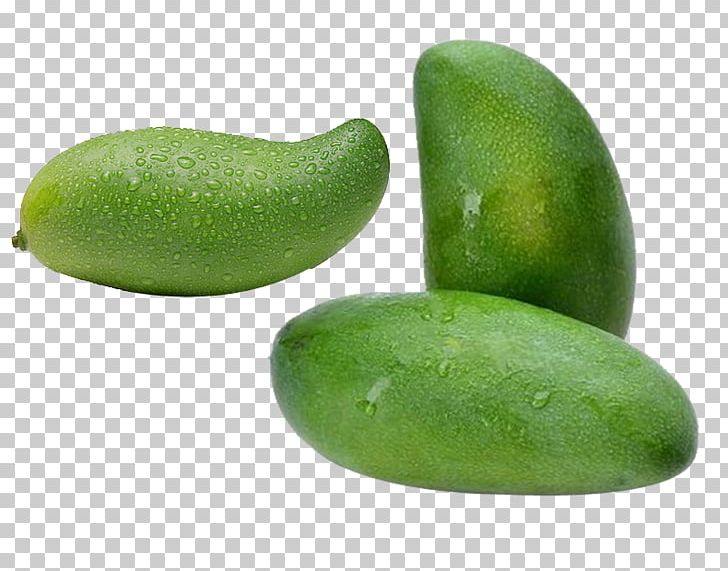 Mango Auglis Fruit Wax Gourd PNG, Clipart, 3d Three Dimensional Flower, Auglis, Avocado, Big, Big Blue Free PNG Download