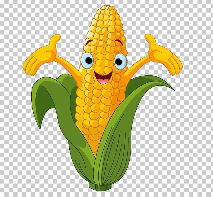 Corn On The Cob Maize Sweet Corn Cartoon PNG, Clipart, Banana, Banana Family, Cartoon, Commodity, Corn Free PNG Download