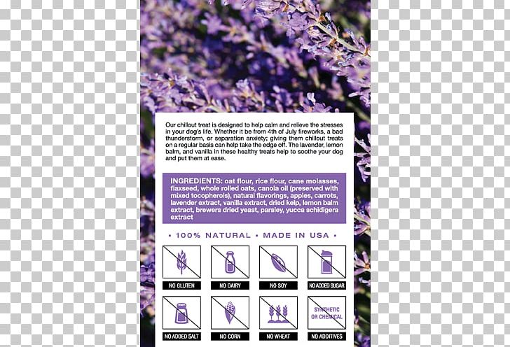Dog Biscuit Pet Lavender Oil PNG, Clipart, Advertising, Animals, Baking, Biscuit, Canola Oil Free PNG Download