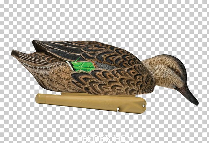 Mallard Duck Decoy Duck Decoy Anseriformes PNG, Clipart, Animals, Anseriformes, Beak, Bird, Bluewinged Teal Free PNG Download