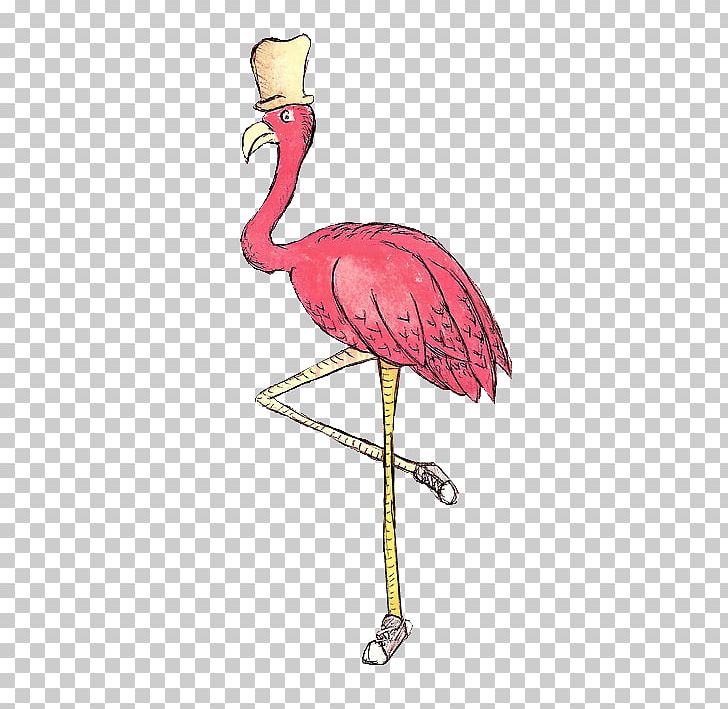 Ostrich PNG, Clipart, Abstract, Animals, Bird, Encapsulated Postscript, Fashion Free PNG Download