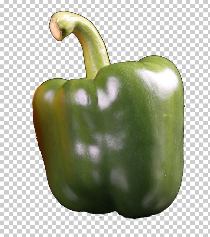 Bell Pepper Chili Pepper Food Yellow Pepper Serrano Pepper PNG, Clipart, Bell Pepper, Bell Peppers And Chili Peppers, Capsicum, Capsicum Annuum, Ceramic Free PNG Download