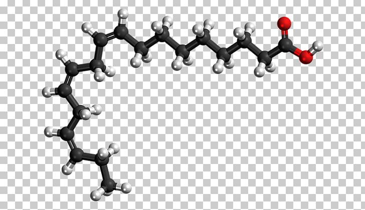fatty acid molecule model