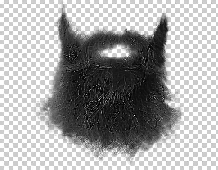 Beard Whiskers Moustache Goatee PNG, Clipart, Beard, Black, Black And White, Black Beard, Carnivoran Free PNG Download