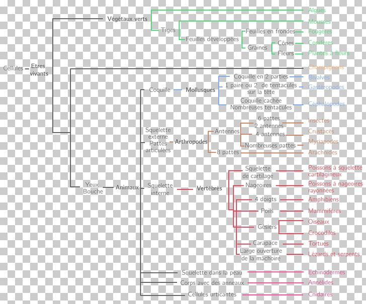 Document Line Angle PNG, Clipart, Angle, Area, Art, Diagram, Document Free PNG Download