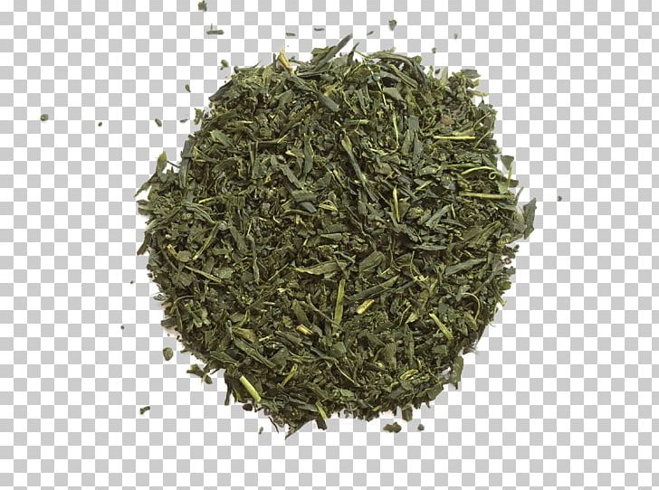 Gyokuro Nilgiri Tea Oolong Sencha PNG, Clipart,  Free PNG Download