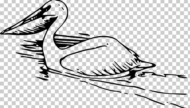 Pelican PNG, Clipart, Art, Artwork, Beak, Bird, Black And White Free PNG Download