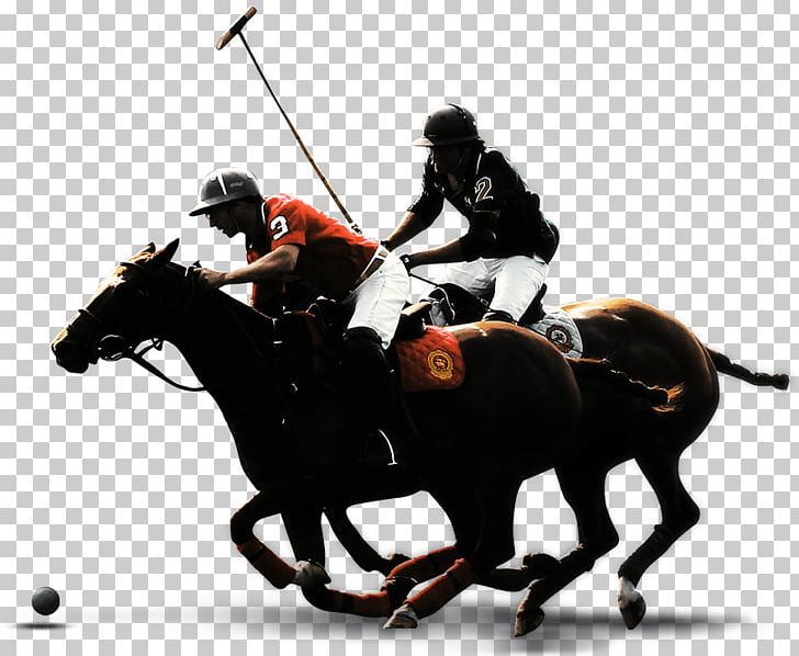 Polo Horse Equestrian Bridle Rein PNG, Clipart, Animal Sports, Bridle, Clothing, Equestrian, Equestrian Sport Free PNG Download