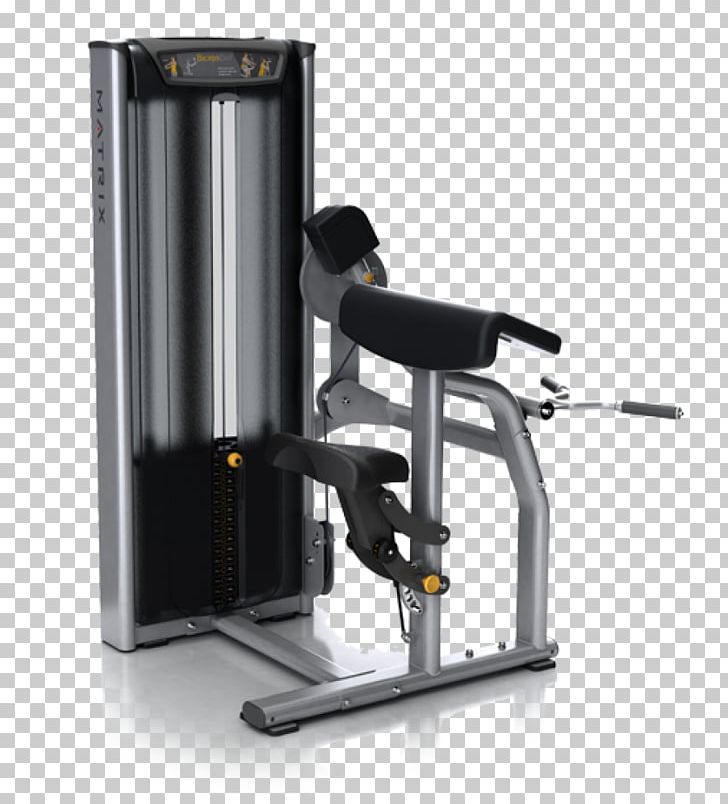 Biceps Curl Exercise Equipment Strength Training PNG, Clipart, Arm, Biceps, Exercise, Exercise Equipment, Exercise Machine Free PNG Download