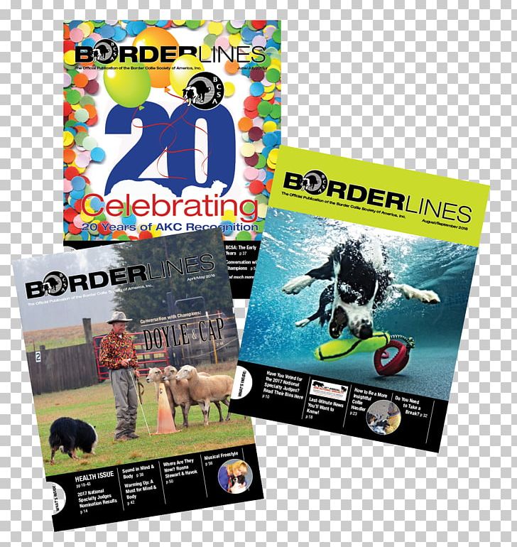 Teen Magazine Seventeen Border Collie Publication PNG, Clipart, Adolescence, Advertising, American Kennel Club, Border Collie, Kennel Club Free PNG Download