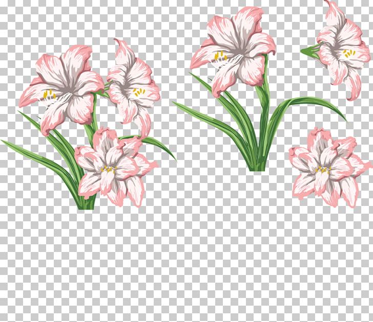 Tiger Lily Flower Floral Design PNG, Clipart, Amaryllis Belladonna, Amaryllis Family, Art, Cut Flowers, Drawing Free PNG Download