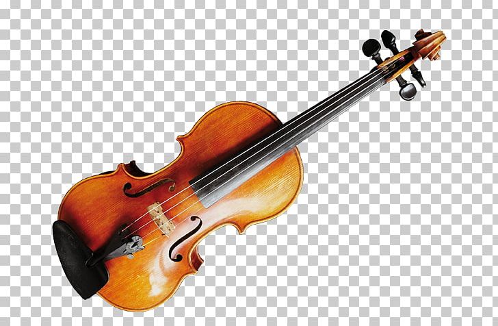 Violin String Instruments Musical Instruments Viola PNG, Clipart, Acoustic Electric Guitar, Bass Guitar, Bass Violin, Bowed String Instrument, Cello Free PNG Download