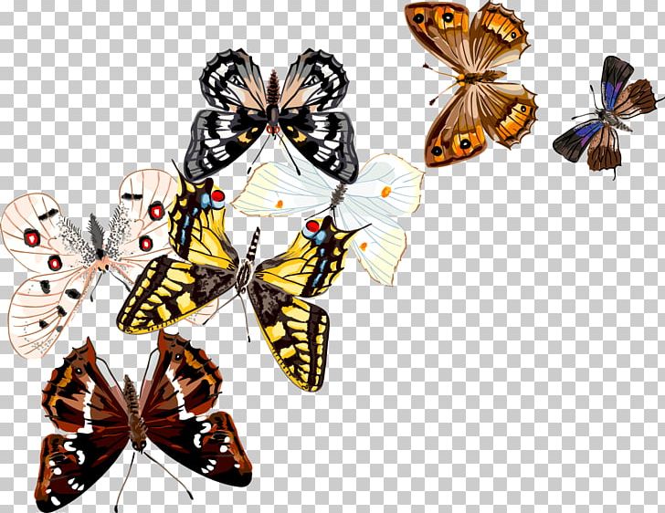 Butterfly Insect Drawing PNG, Clipart, Art, Arthropod, Brush Footed Butterfly, Butterflies And Moths, Butterfly Free PNG Download