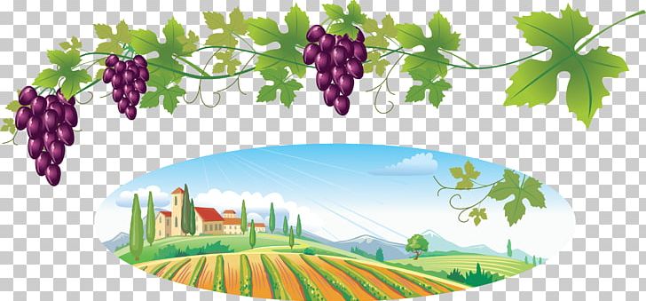 grape vine wine clip art